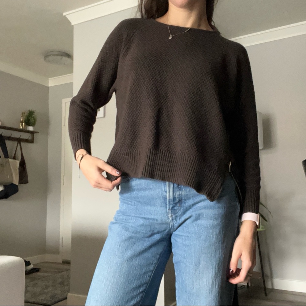 Silence + Noise Dark Brown Crew Neck Sweater